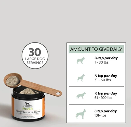 Turkey tail mushroom extract for dogs