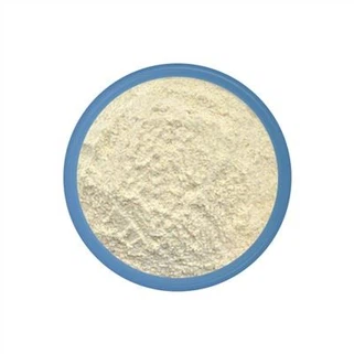 Bacillus Mucilaginosus