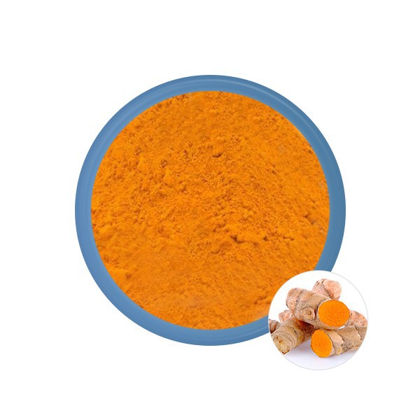 Curcumin-Extract