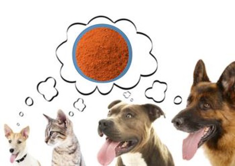 Deffated Krill Powder supplier Deffated Krill Powder supplier